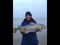 Chasing A Lockdown Cod  Sea Fishing The Bristol Channel Shore  Brean Beach January 2021