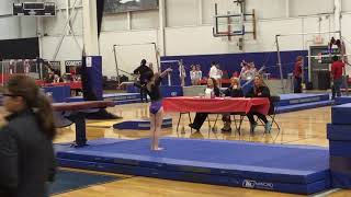 Silvia Mitova Invitational - 010518 - Alexandria Tom - Level 5