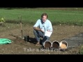 Site Selection: How to Grow Blueberries