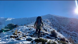 NZ Tahr and Fallow Hunt. What more could you ask for?