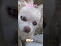 2026/5/24 昼間