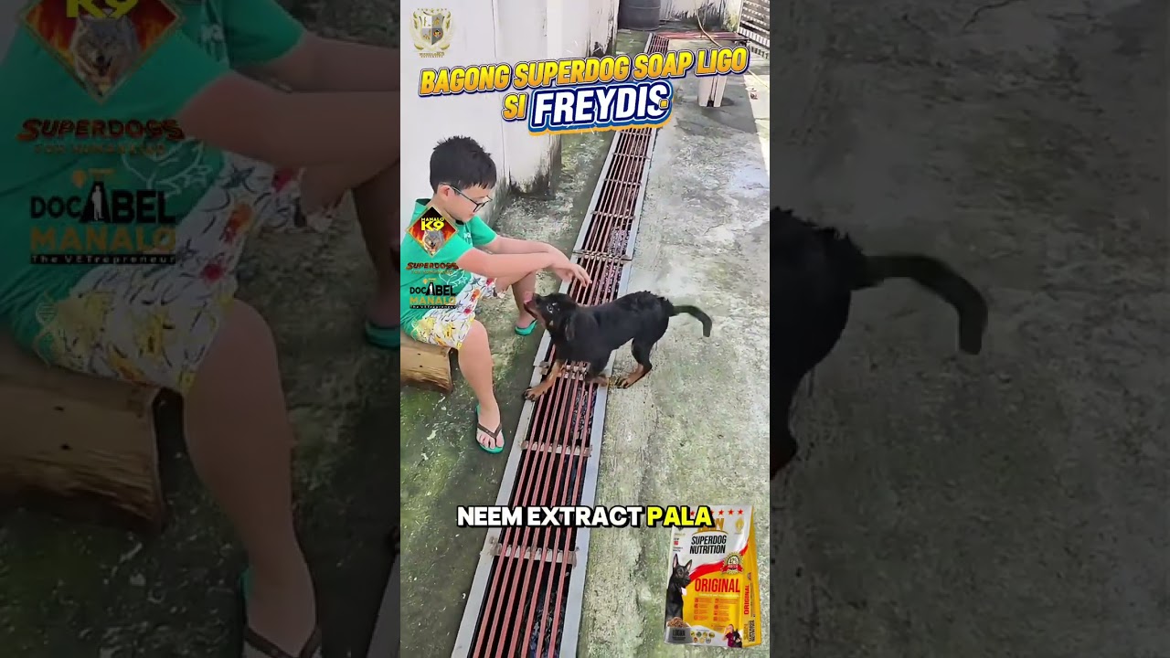 BAGONG Superdog Soap LIGO SI FREYDIS 😁🙏❤️