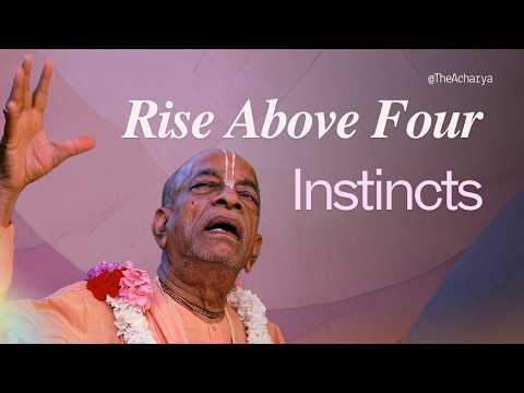 Human Life Is Not For Animals | SB 2.3.24 |  Los Angeles, US | Srila Prabhupada