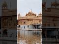 Golden temple Sri Harmandirsahib#travel #temple #europeantravel#travel #dancehallmusic#culturaltrip