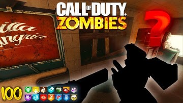ONE WINDOW CHALLENGE WITH A TWIST (Black Ops 3 Custom Zombies)