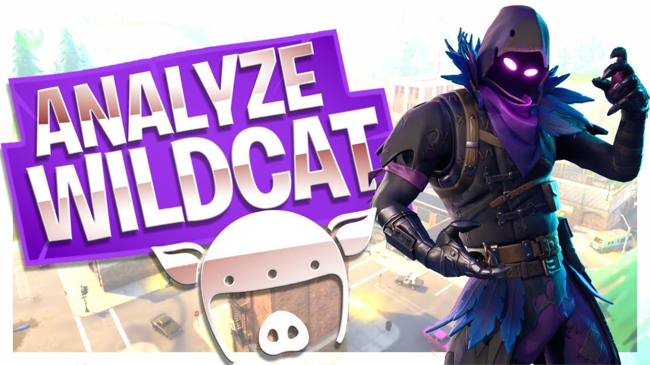 Analyze I Am Wildcat In Fortnite How Good Does He Do Youtube - analyze i am wildcat in fortnite how good does he do