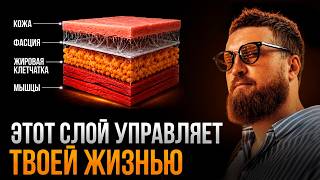 ПСИХИКА = ТКАНЬ ! Два Типа Фасций! В какой живет Подсознание?