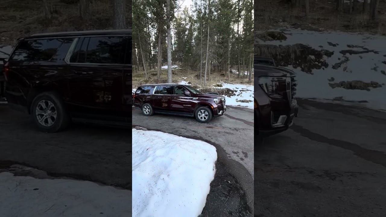 Polaris Lifts Wood Stoves: The Commercial Haul