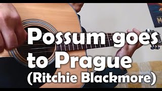 Possum goes to Prague Ritchie Blackmore guitar cover