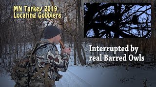 Locating Gobblers in MN - Barred Owls Laughing
Sam and I went on a walk to locate some pre-season gobblers in Minnesota on public land. Its almost like snow during the first season is becoming a pattern.
Harrison Hootn Stick walnut: https://amzn.to/2KzPYWU
Link to my Gear List: http://diy-sportsman.com/2017/12/29/deer-hunting-gear-list-2017/
Podcast: https://sportsmensnation.com/podcasters/diy-sportsman
Amazon storefront: https://amazon.com/shop/diysportsman
Camera used: https://amzn.to/2Ior0Hw
Mic used: https://amzn.to/2YdoSaO Locating Gobblers in MN - Barred Owls Laughing