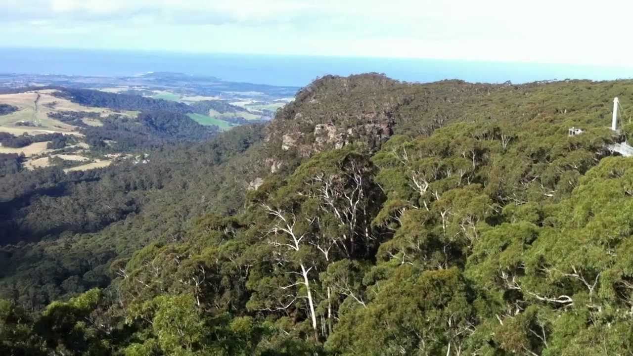 Fly Tree Top Walk , Illawarra , NSW YouTube