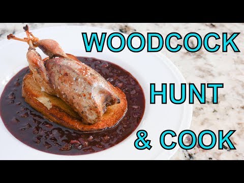 Video: How To Cook A Woodcock