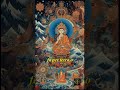 Libro dei Morti Tibetano #shorts #buddhism  #filosofia #quotes #spirituality