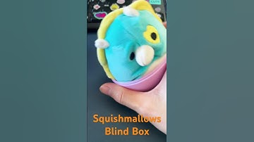 #cute #squishmallows #mysterysquad #squishmallowsquad #blindbox