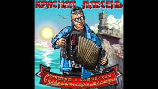 Фиолетовая корова (New remastered version) Концерт в ялтинском академическом театре. 2022г.