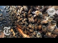 The Bees That Give You Almonds | The Daily 360 | The New York Times