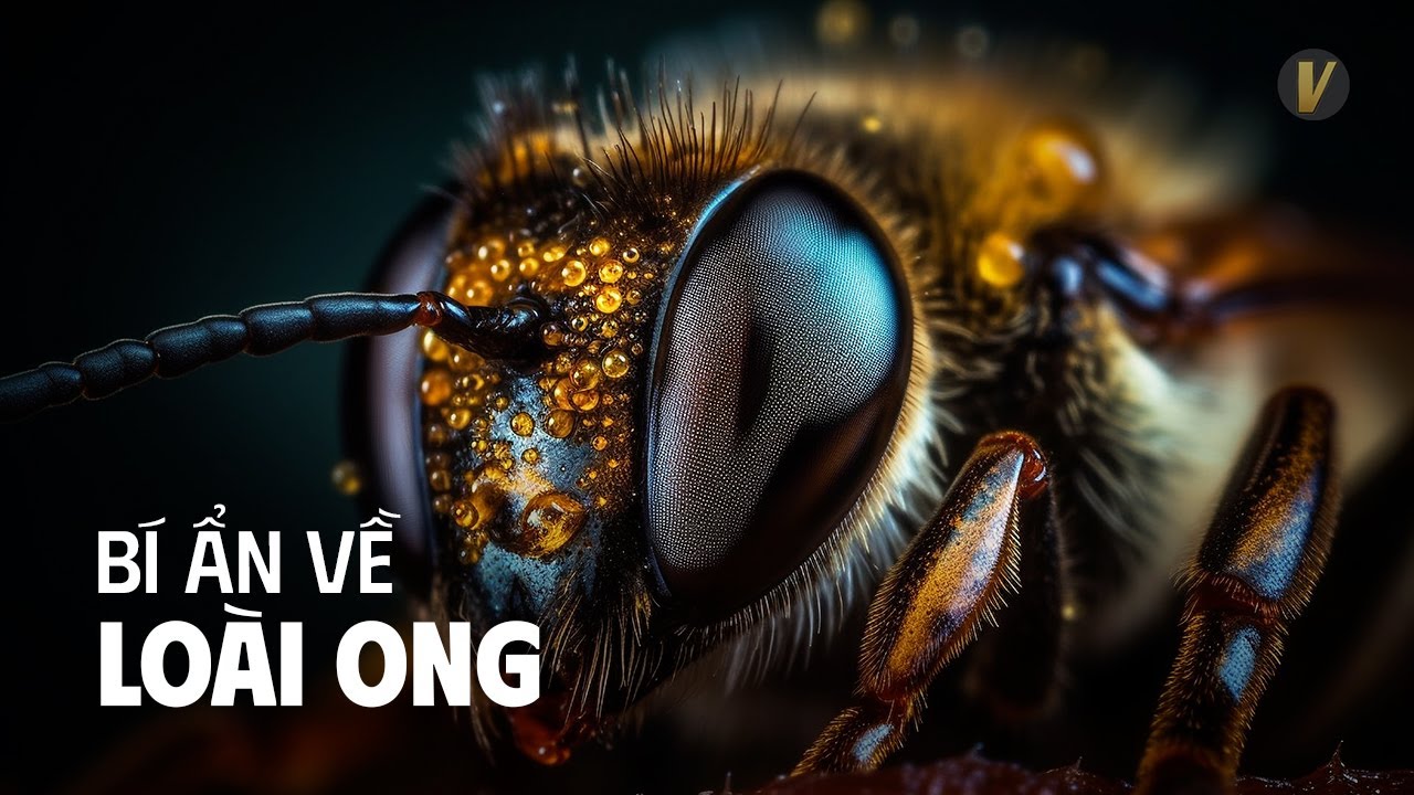 Một Nền Văn Minh 100 Triệu Năm Tuổi