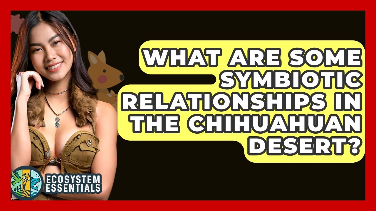 What Are Some Symbiotic Relationships In The Chihuahuan Desert? - Ecosystem Essentials