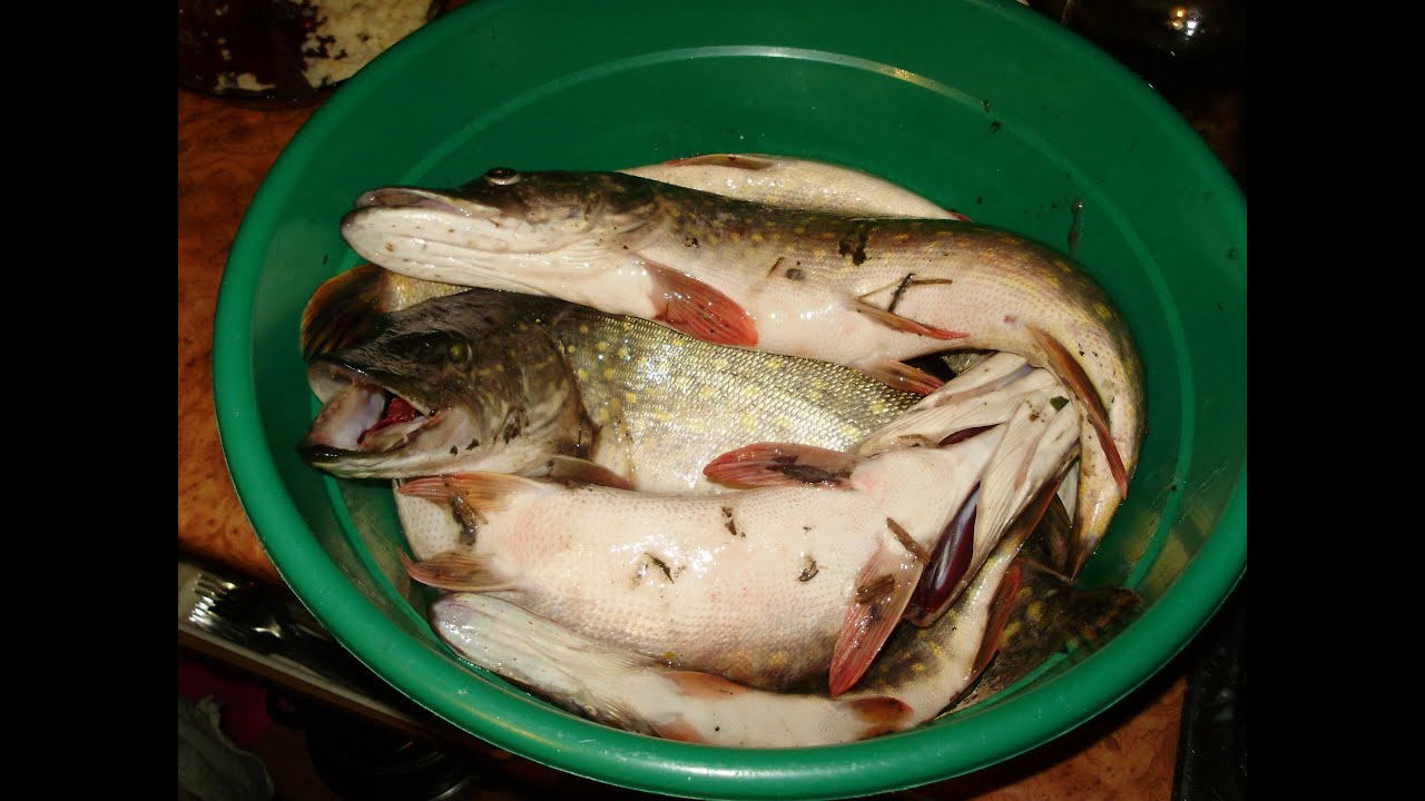 Ловля щуки и техника заброса под камыш.My fishing.Сasting under the reeds