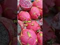 Dragon Fruit (Kamalam) Benefits for Gut, Skin &amp; Immunity 🐉 #shorts #ytshorts