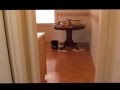 2413 concord vid avi