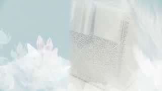 Сундучок для денег на свадьбу Gilliann Silver Fairy Tale BOX054 Сундучок для денег на свадьбу Gilliann Silver Fairy Tale BOX054