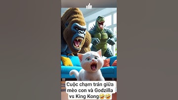 Cuộc chạm trán giữa mèo con và Godzilla vs King Kong🤣🤣 #shorts #cat #ai #meow