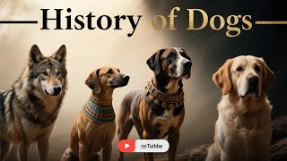 The History of Dogs: From Wild Wolves to Loyal Companions