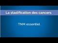 La stadification des cancers cancer staging  chapitre 8 tnm essentiel essential tnm