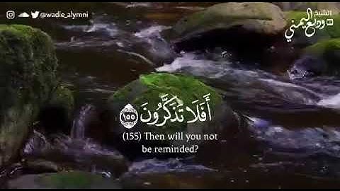 أغمض عينيك واستمع بقلبك ❤ ؛ تلاوة جديدة قمة في الهدوء 💬