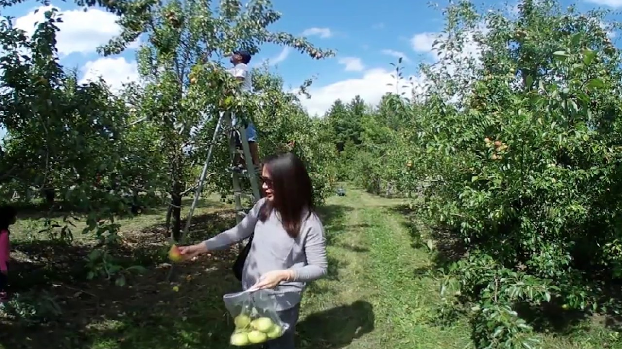 360 VIDEO AT HEMMINGFORD QUEBEC, CANADA YouTube