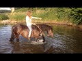 [VLOG] : Balade à cheval le soir dans l'eau !