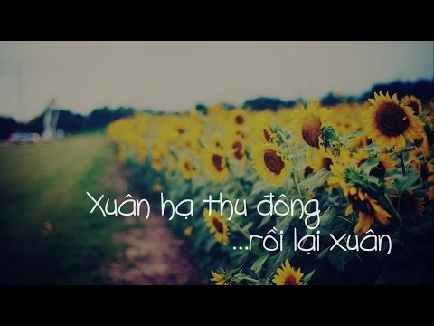 Xuân Hạ Thu Đông rồi lại Xuân - Ái Phương
