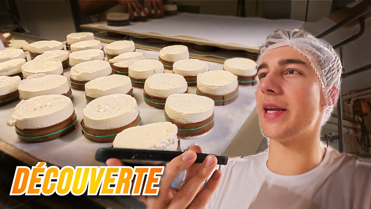 DU LAIT JUSQU'À SA TRANSFORMATION ! 🧀