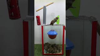 Best Mouse Trap Ideas At Home // Mouse Trap 2 #Rat #Rattrap #Mousetrap