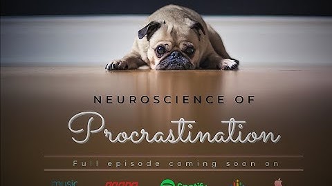 Trailer Neuroscience of Procrastination