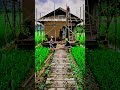 AI RENOVATION TIMELIPSE TRANSFORMATION MODERN WOOD HOUSE DESIGN VIDEO 📷 #shorts