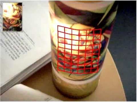 Visual tracking robust to arbitrary illumination changes in color images