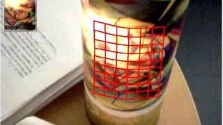 Visual tracking robust to arbitrary illumination changes in color images