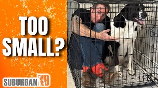 How TO and How NOT to Size a Dog Crate!