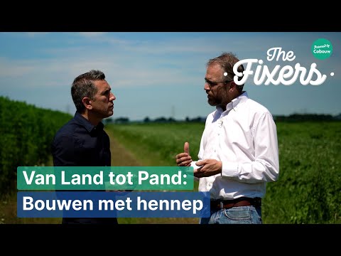 Bouwen met hennep | Van land tot pand #3 | The Fixers