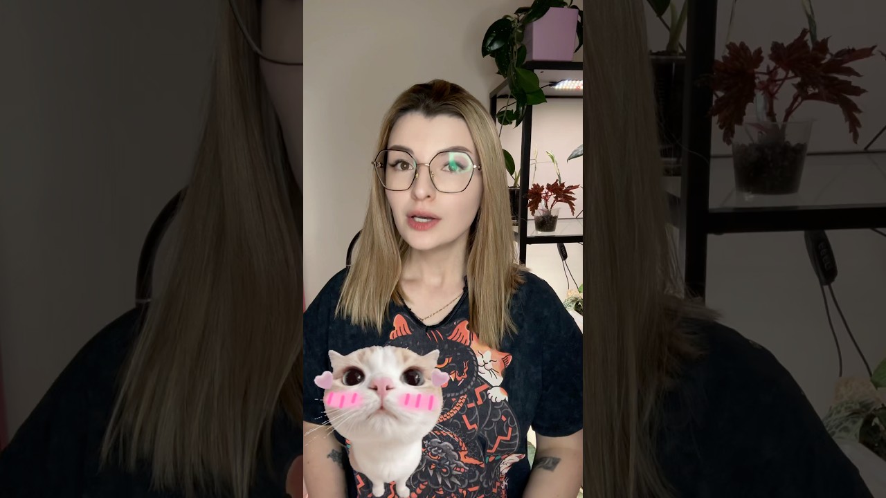 Ограбила магазин 😅 