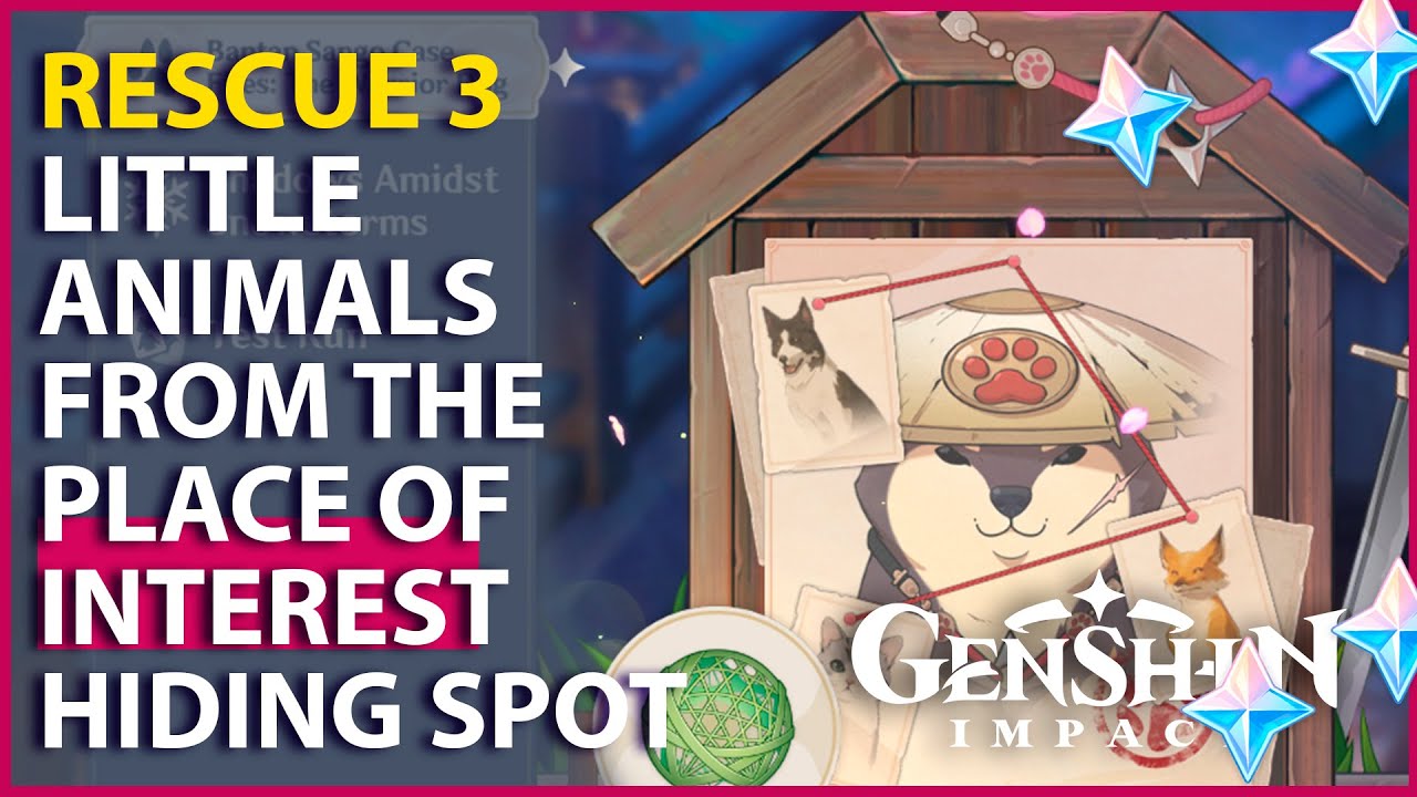 Rescue 3 small animals from the Place of Interest Hiding Spot Genshin Impact 2.3