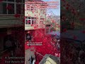 A Spectacular Cascade Of Red Petals At Celebration