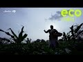 Eco India Premiere: The women farmers in Maharashtra who are fighting for their right to own land