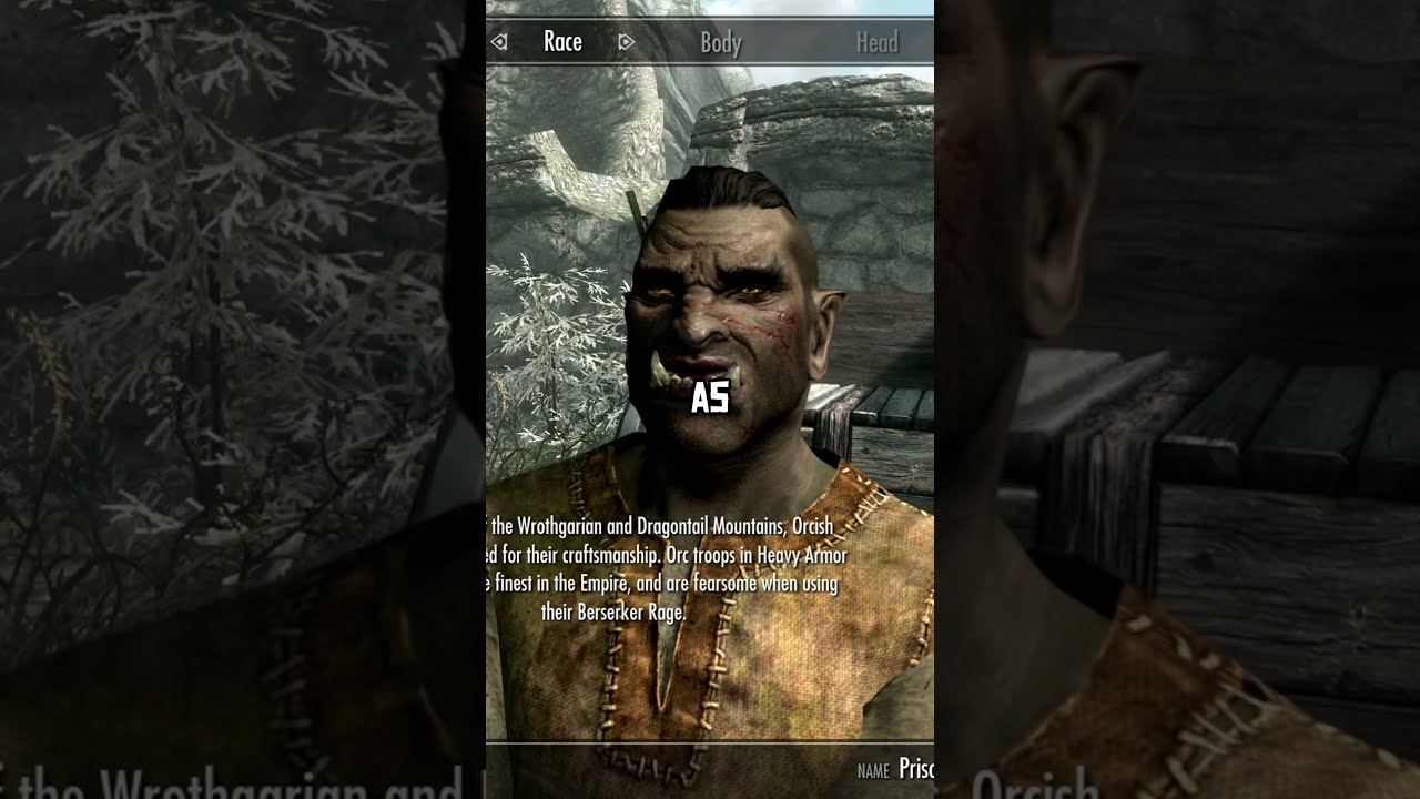 😱 Я притворялся талморцем, играя за каждую расу в Skyrim 