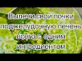 Вылечи свои почки,поджелудочную,печень всего с 1 ингредиентом!!!