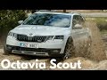 Skoda Octavia 4x4