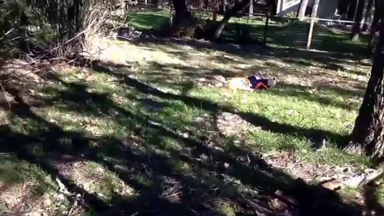 Epic airsoft madness!!!!