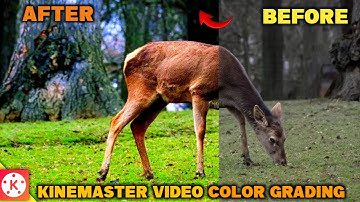 kinemaster colour grading | video color grading kaise kare | color grading video editing
